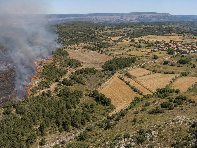 Mosaico agroforestal que frena la propagación de un incendio